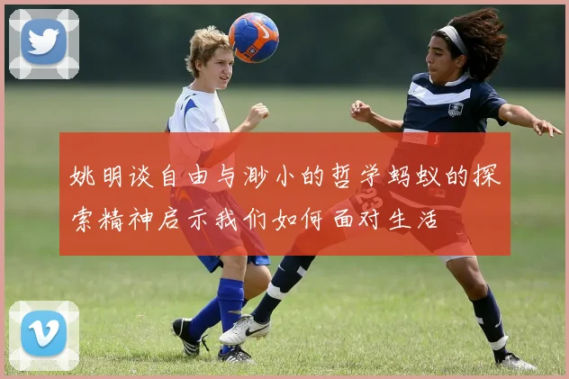 姚明谈自由与渺小的哲学蚂蚁的探索精神启示我们如何面对生活